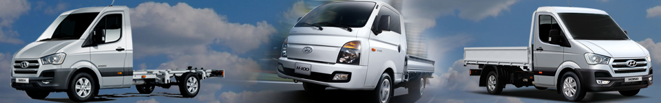 Hyundai H100 yedek parçaları